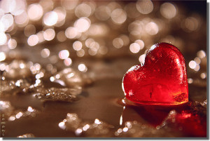 heart Family solicitors in Crystal Palace